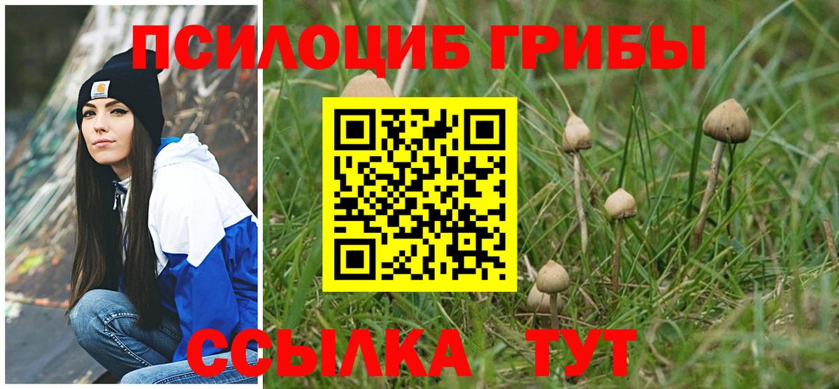 Галлюциногенные грибы Psilocybe Магнитогорск